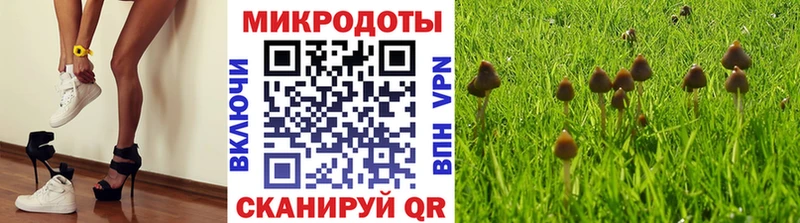 дарнет шоп  это как зайти  Псилоцибиновые грибы Psilocybe  Ливны 