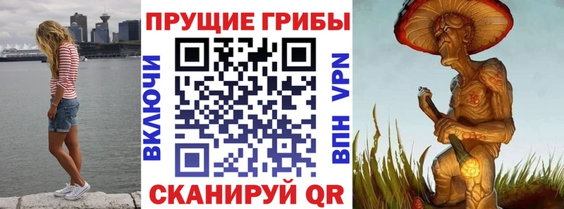 Псилоцибиновые грибы ЛСД Ливны